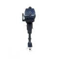 ЛОДОЧНЫЙ МОТОР SEA WALKER 3(S) 2Х-ТАКТ в Саратове